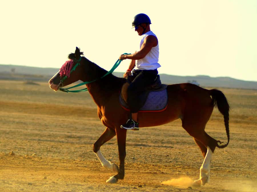 Marsa Alam: Sunset Horseback with Dinner, Show & Stargazing - Choosing between the three Marsa Alam ride options