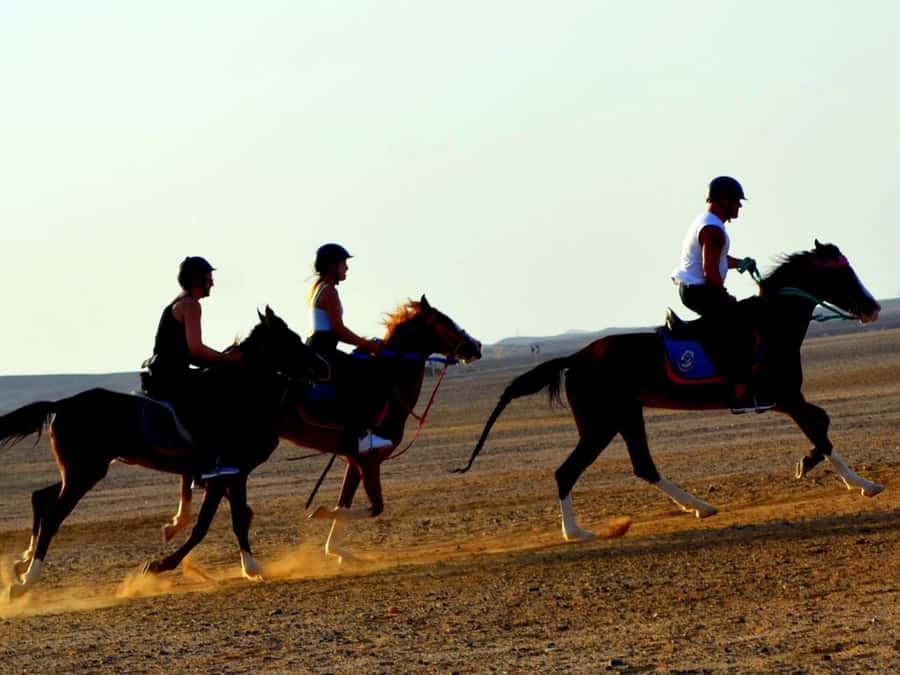 Marsa Alam: Sunset Horseback with Dinner, Show & Stargazing - Is the $29 price good value?