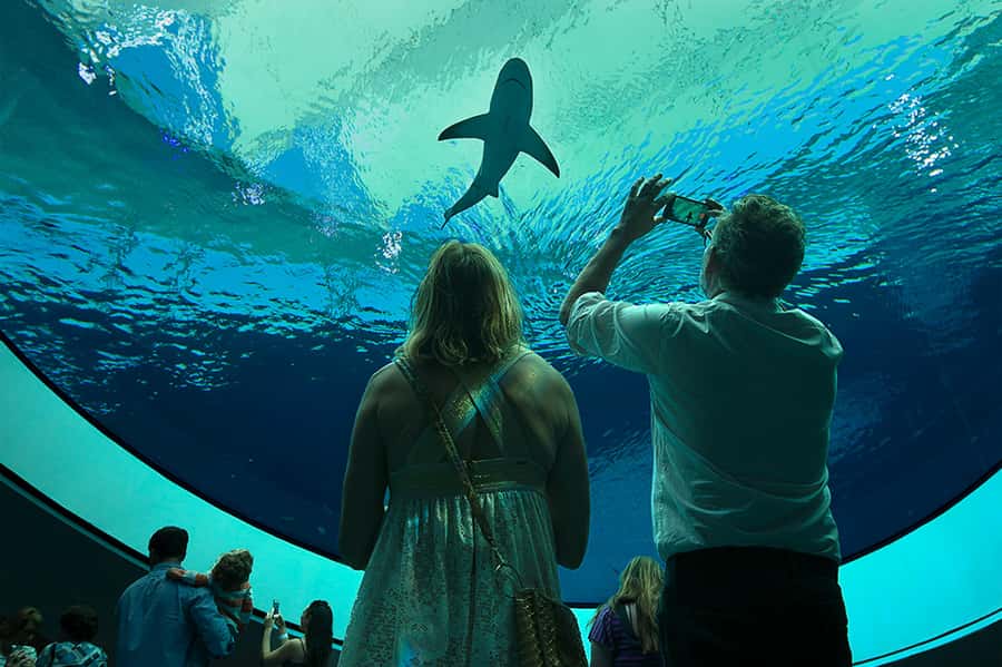 Miami: Frost Museum of Science and Planetarium Entry Ticket - Key Points Before You Go