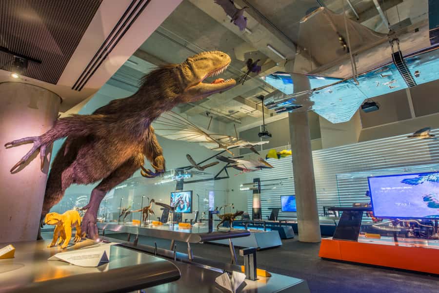 Miami: Frost Museum of Science and Planetarium Entry Ticket - Bugs, Touch Stations, and Science Gadgets