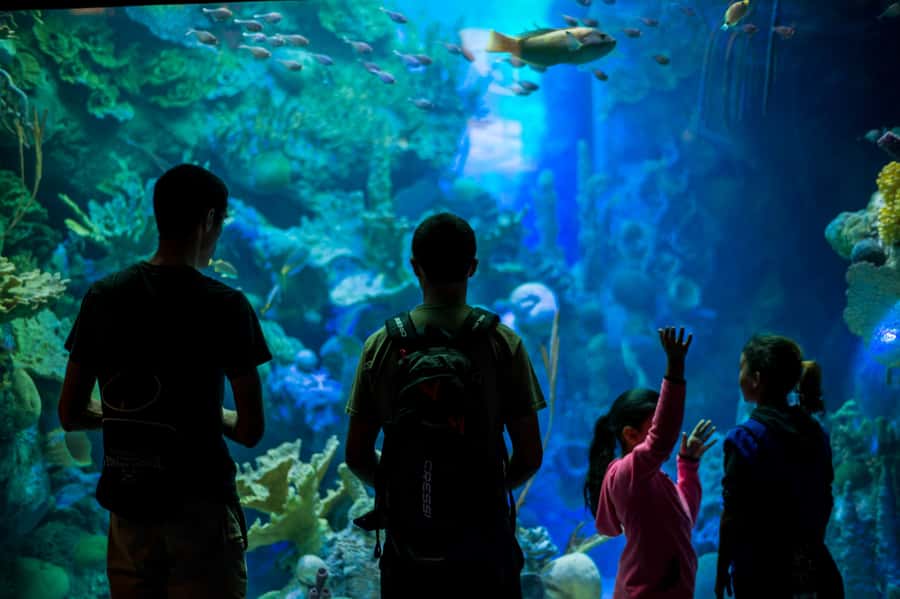 Miami: Frost Museum of Science and Planetarium Entry Ticket - Power of Science and the Museum’s Big Questions