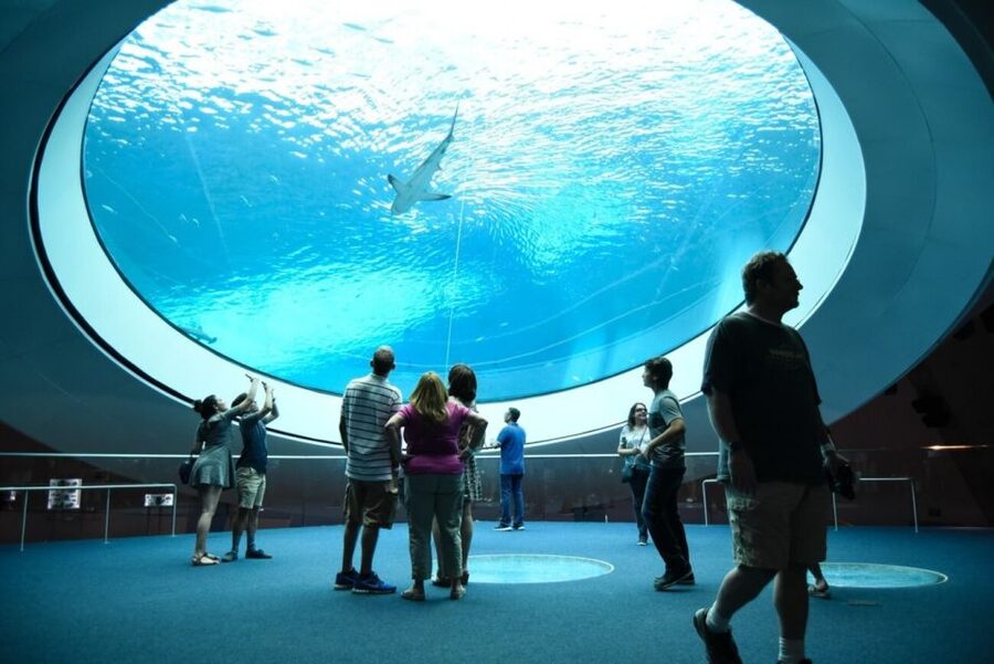 Miami: Frost Museum of Science and Planetarium Entry Ticket - Choosing Between Dynamic Earth and Black Holes