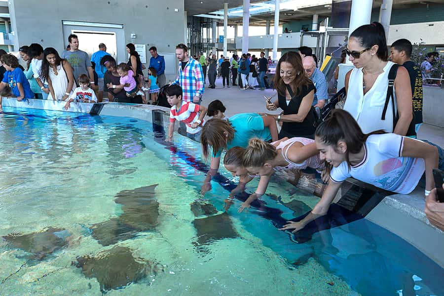 Miami: Frost Museum of Science and Planetarium Entry Ticket - How Much Time Should You Allow?
