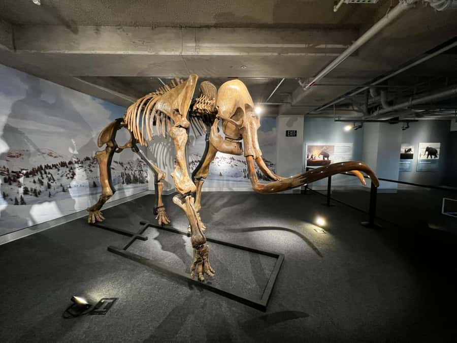 Miami: Frost Museum of Science and Planetarium Entry Ticket - Is the $30 Ticket Good Value?
