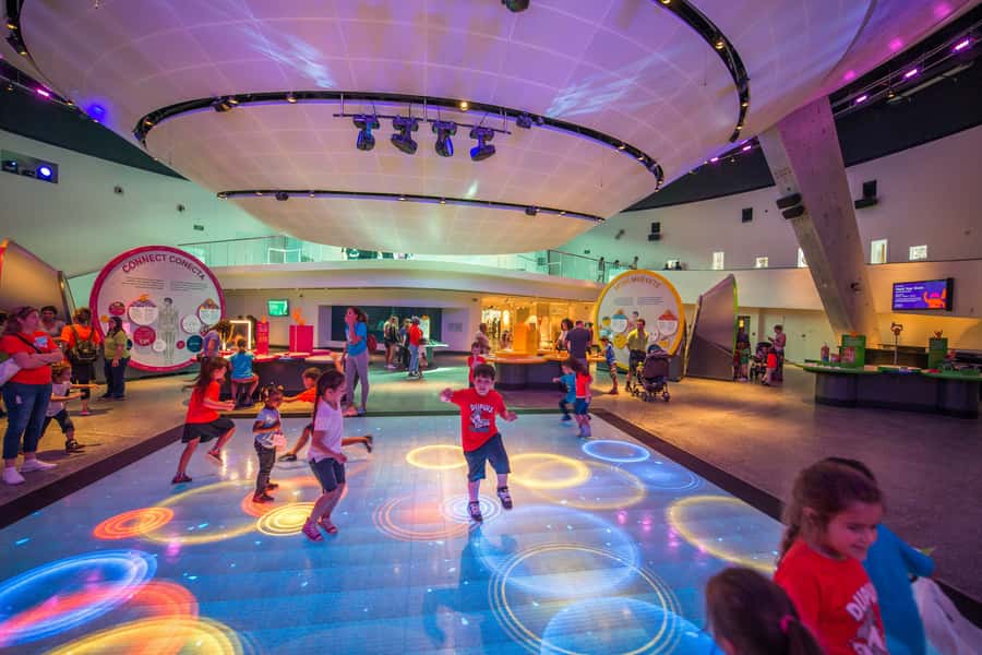 Miami: Frost Museum of Science and Planetarium Entry Ticket - Three Aquarium Levels, Stingrays, and Hammerhead Sharks