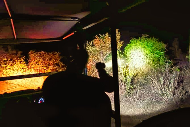 Moonlight Experience and Stargazing close to Victoria Falls - Who will enjoy this evening most?