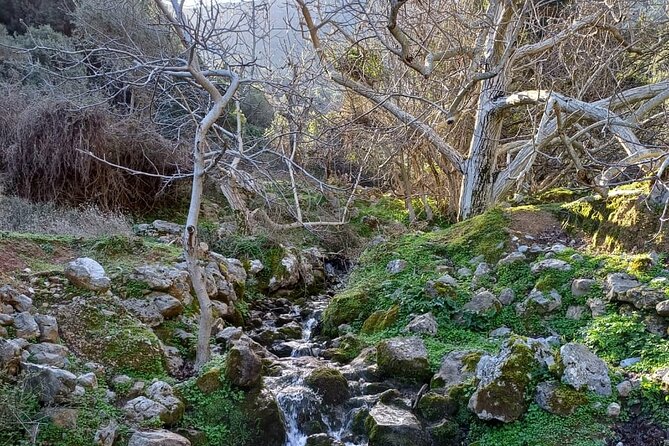 Mount Juktas, the observatory of CRETE ZEUS face mountain - Skotino Cave and the Artemis connection