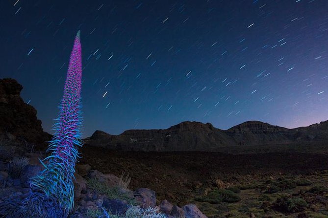 Mount Teide Night Tour: Stargazing, Dinner and Hotel Pick up - Dinner at Bodega Reverón in Vilaflor