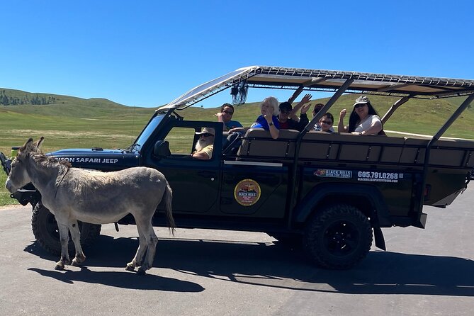 Mt Rushmore Night Ceremony and Tour - with Tunnels and Stargazing - What this evening tour is really offering