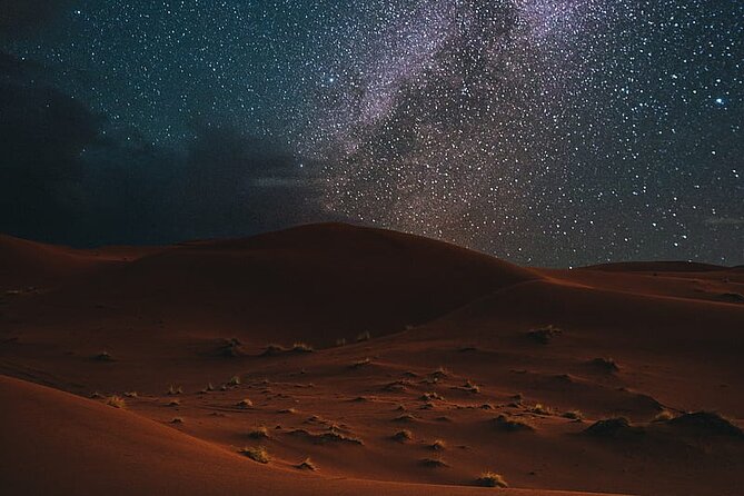 Night Desert Safari, Stargazing, Dune Driving & Inland Sea Visit - Camels, falcons, and the camp visit