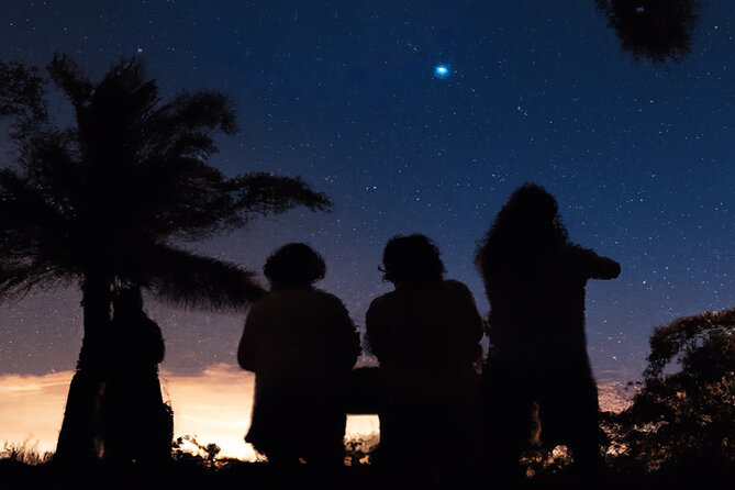 Night Sky Stargazing Tour in Punta Gorda Florida - The opening sky lesson with Jason