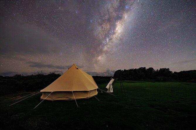 Nocturnal Wonders Tawharanui Kiwi Spotting and Stargazing Tour - What the three-hour format means