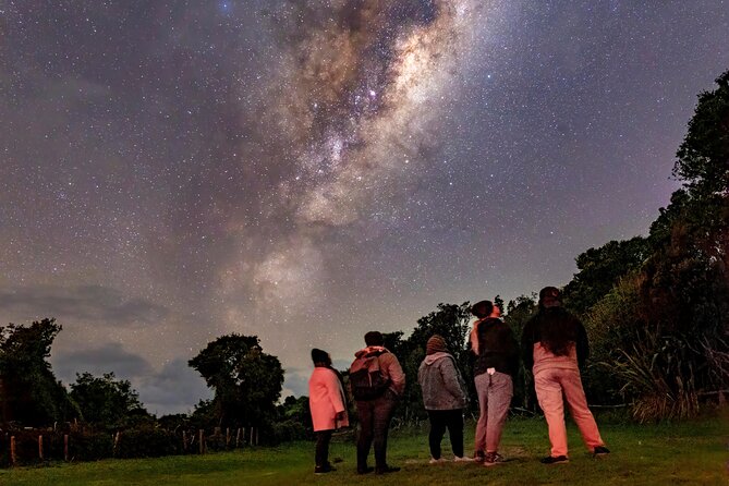 Nocturnal Wonders Tawharanui Kiwi Spotting and Stargazing Tour - Who should book this experience?