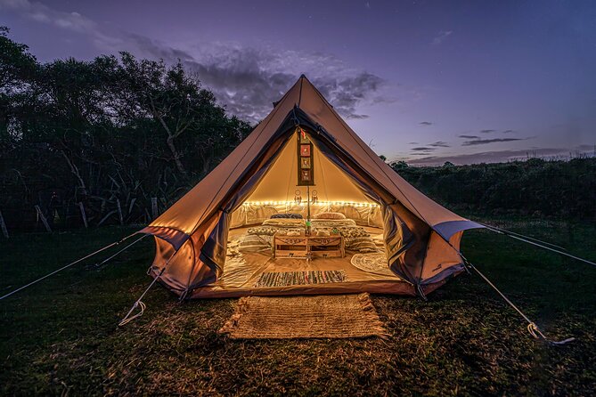 Nocturnal Wonders Tawharanui Kiwi Spotting and Stargazing Tour - Telescopes, binoculars, and a darker sky