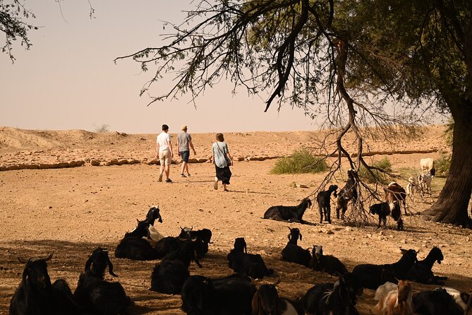 Non-Touristic Overnight Camel Safari with Stargazing Hidden Tour In Desert - Sunset, campfire food, and an open-air night