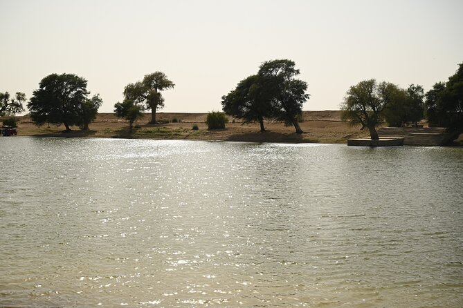 Non-Touristic Overnight Camel Safari with Stargazing Hidden Tour In Desert - The personal side of the Thar Saga team