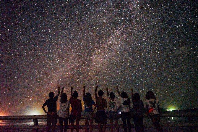 Okinawa Miyako Star Gazing & Subtropical Jungle Night Tour - Quick points to know
