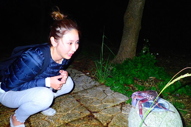 Okinawa Miyako Star Gazing & Subtropical Jungle Night Tour - Why this Miyakojima night tour is worth considering
