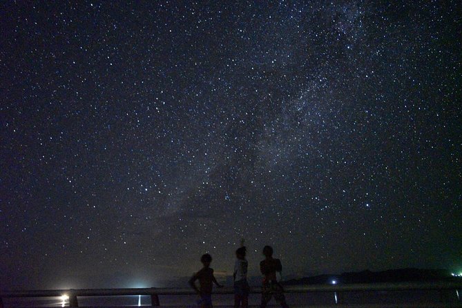 Okinawa Miyako Star Gazing & Subtropical Jungle Night Tour - Starting at Kurimajima Center Zen Parking Lot