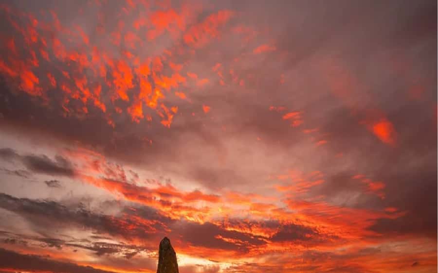 Perth: Pinnacles Desert Sunset & Stargazing with Dinner - Key things to know before booking