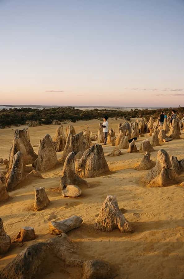 Perth: Pinnacles Desert Sunset & Stargazing with Dinner - Should you book the Pinnacles sunset and stargazing tour?