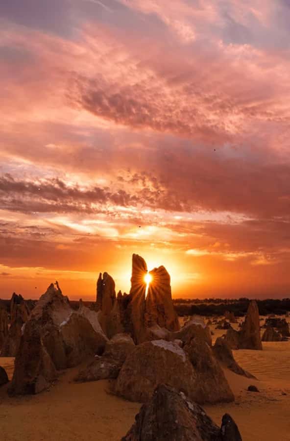 Perth: Pinnacles Desert Sunset & Stargazing with Dinner - The Pinnacles at sunset