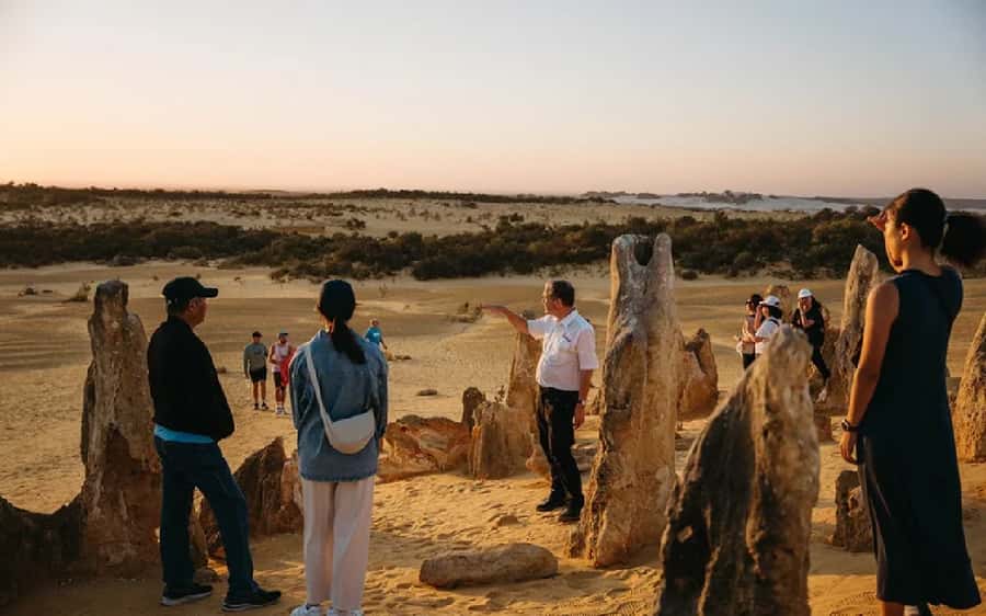 Perth: Pinnacles Desert Sunset & Stargazing with Dinner - Who should book this outing?