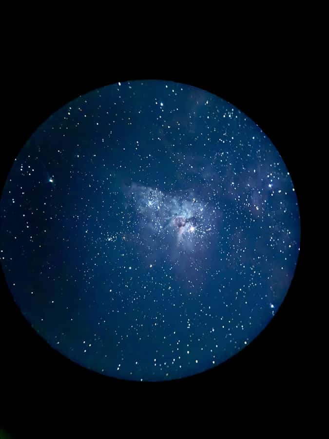 Perth: Pinnacles Stargazing, Sandboarding & Beach Kangaroos - From Perth to the white dunes of Lancelin