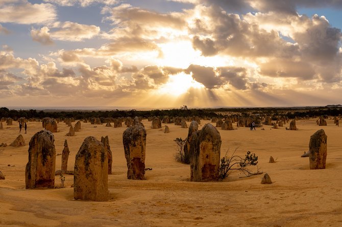 Pinnacle Desert Sunset and Night-time Stargazing Tour from Perth - Key points to know before booking