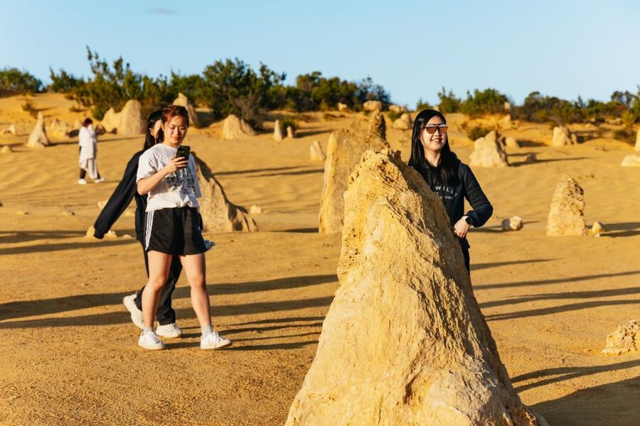 Pinnacles Desert: Sunset BBQ & Stargazing Tour +Sandboarding - Stargazing with telescopes and smartphone tips