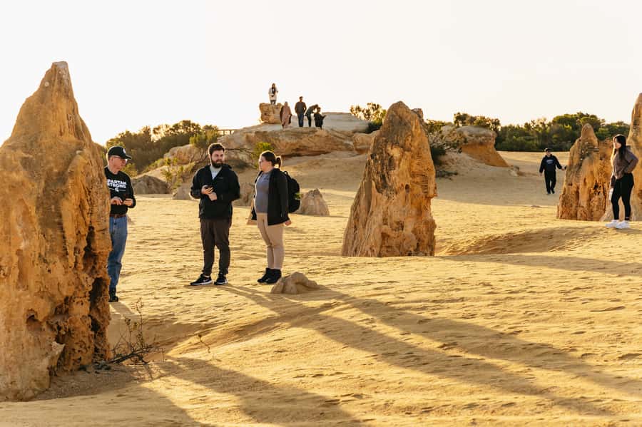 Pinnacles Desert: Sunset BBQ & Stargazing Tour +Sandboarding - Is the $176 price good value?