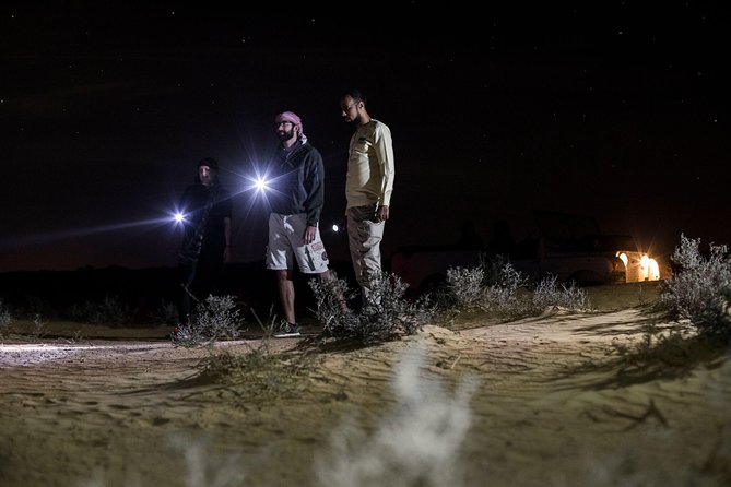 Private Night Vintage Land Rover Desert Safari & Stargazing - The torchlit nocturnal walk