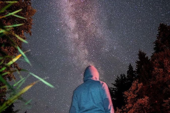 Private Stargazing - Sequoia National Park - Constellations, planets, and old star stories