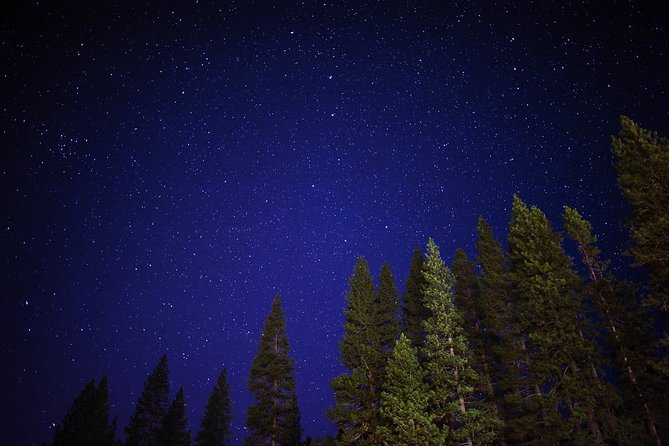 Private Stargazing - Sequoia National Park - A private format that works for mixed groups