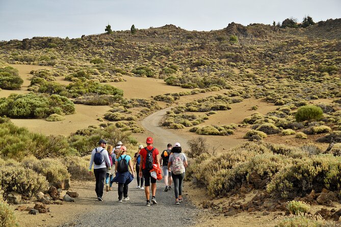 PRIVATE TOUR Teide National Park: Hiking and Stargazing - The intermediate hike and sunset viewpoint