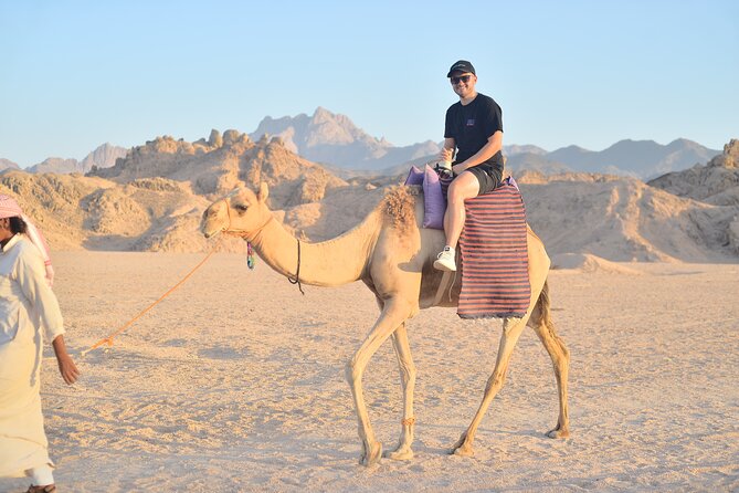 Quad Bike, Jeep, Camel, Sunset, Dinner and Stargazing in Hurghada - Dinner with salads, kofta, and seasonal fruit