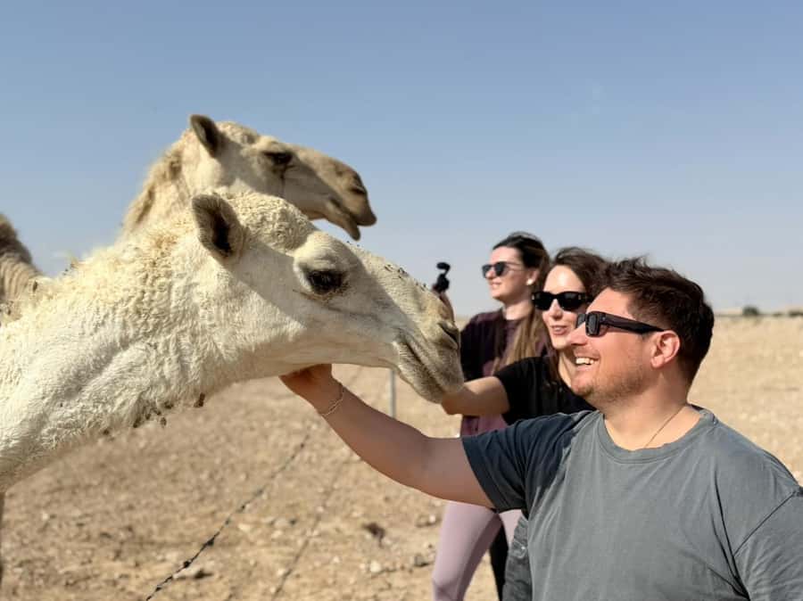 Riyadh: Edge Of The World, camels &Stargazing with 4x4 - The guides are a major part of the experience