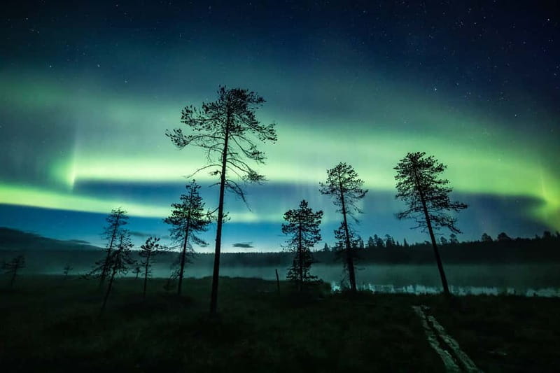 Rovaniemi: Horse Sleigh Ride under the Night Sky - Meeting the Finn Horses