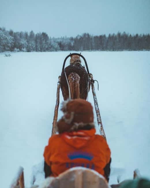 Rovaniemi: Horse Sleigh Ride under the Night Sky - The 3-kilometre sleigh route