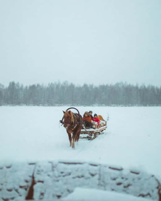 Rovaniemi: Horse Sleigh Ride under the Night Sky - Watching the sky for the Aurora