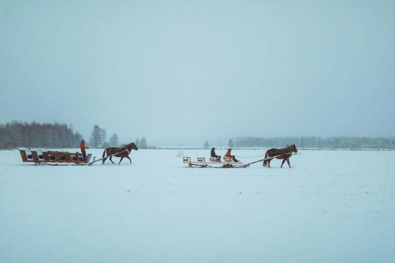 Rovaniemi: Horse Sleigh Ride under the Night Sky - Booking details that can affect your evening