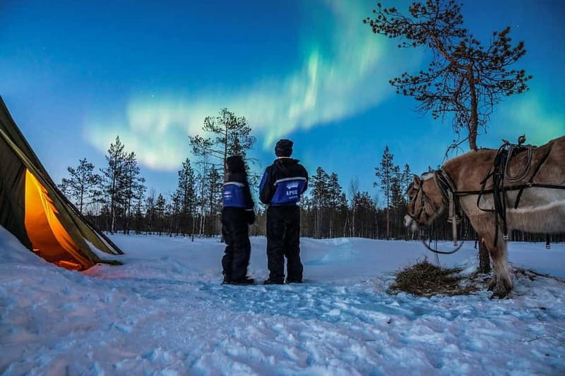 Rovaniemi: Horse Sleigh Ride under the Night Sky - From Rovaniemi to Apukka Resort