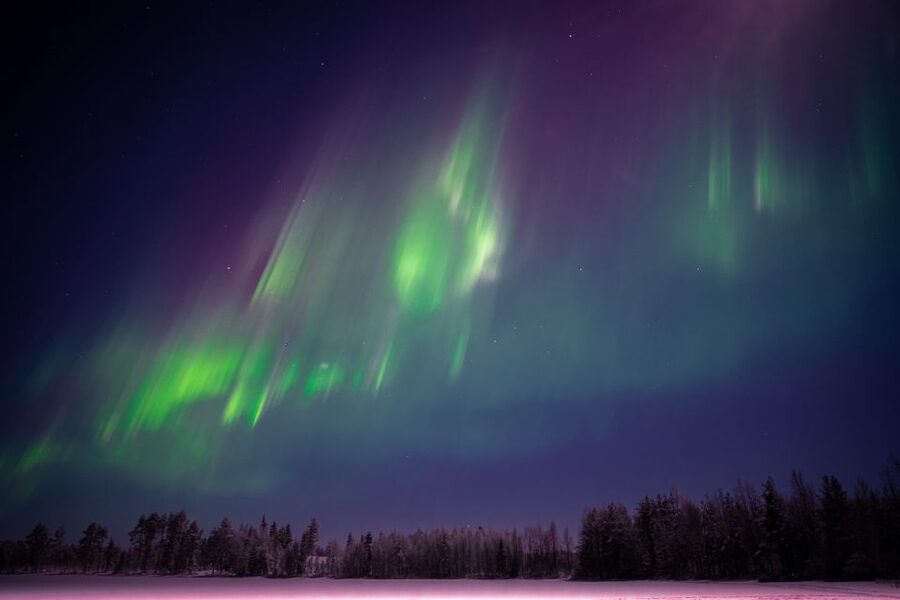 Rovaniemi: Night Sky lappish Barbecue - What the guide adds to the evening