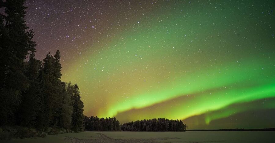 Rovaniemi: Night Sky lappish Barbecue - Transport, timing, and the cold