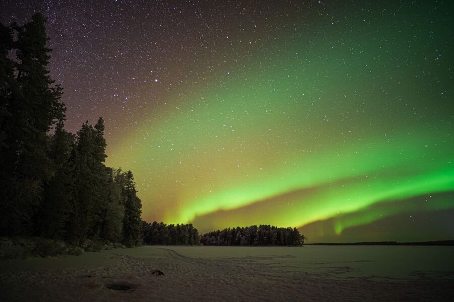 Rovaniemi: Night Sky lappish Barbecue - A campfire, sausage, and hot tea