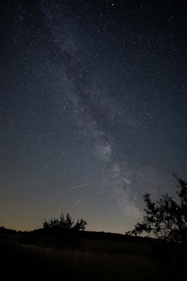 Salt Lake Antelope Island Dark Sky Experience - What the guide adds to the night