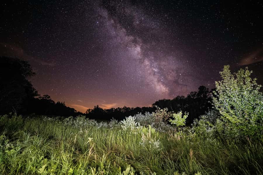 Salt Lake Antelope Island Dark Sky Experience - Three hours under Antelope Island’s night sky