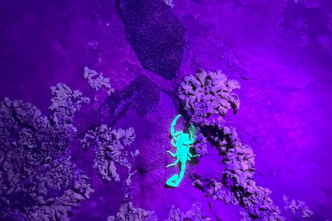 Sedona Night Hike and Stargazing - From Red-Rock Sunset To Desert Night