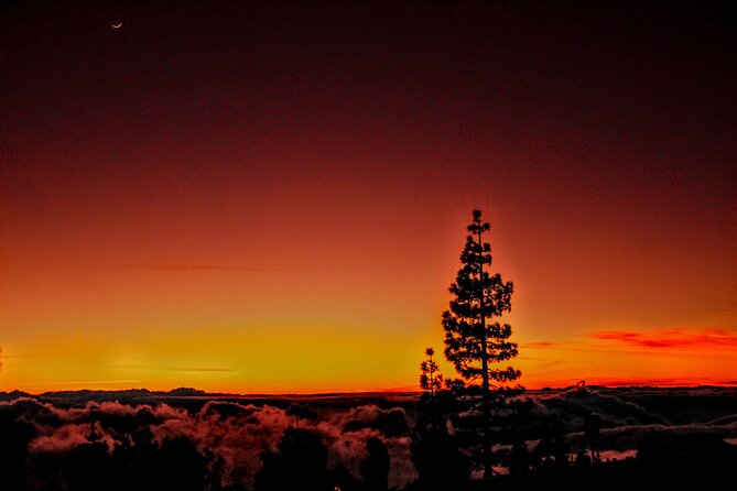 Self Drive Sunset & Stargazing in Teide National Park with Dinner - Montaña Samara: sunset above the sea of clouds