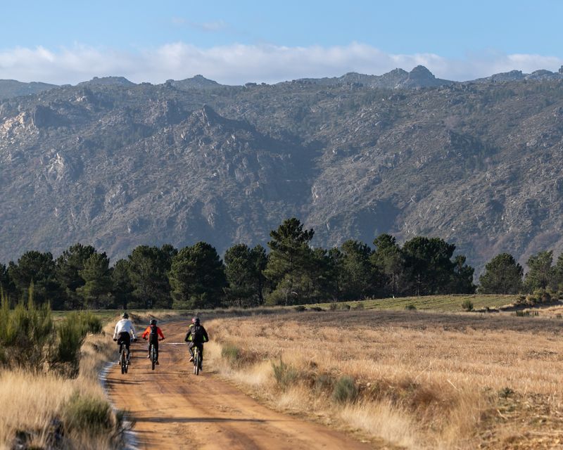 Serra da Estrela: Private E-Bike Tour with Observatory - Carvalheira and the return through tall forest